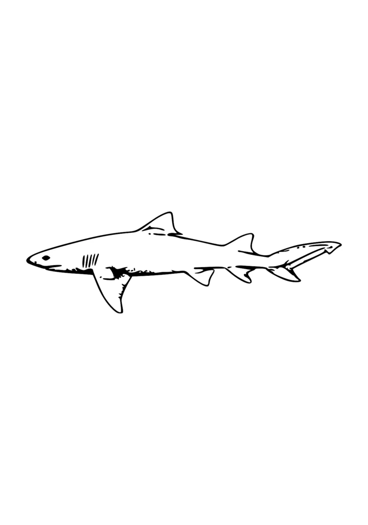 Cover of Cute Shark Underwater Coloring Page