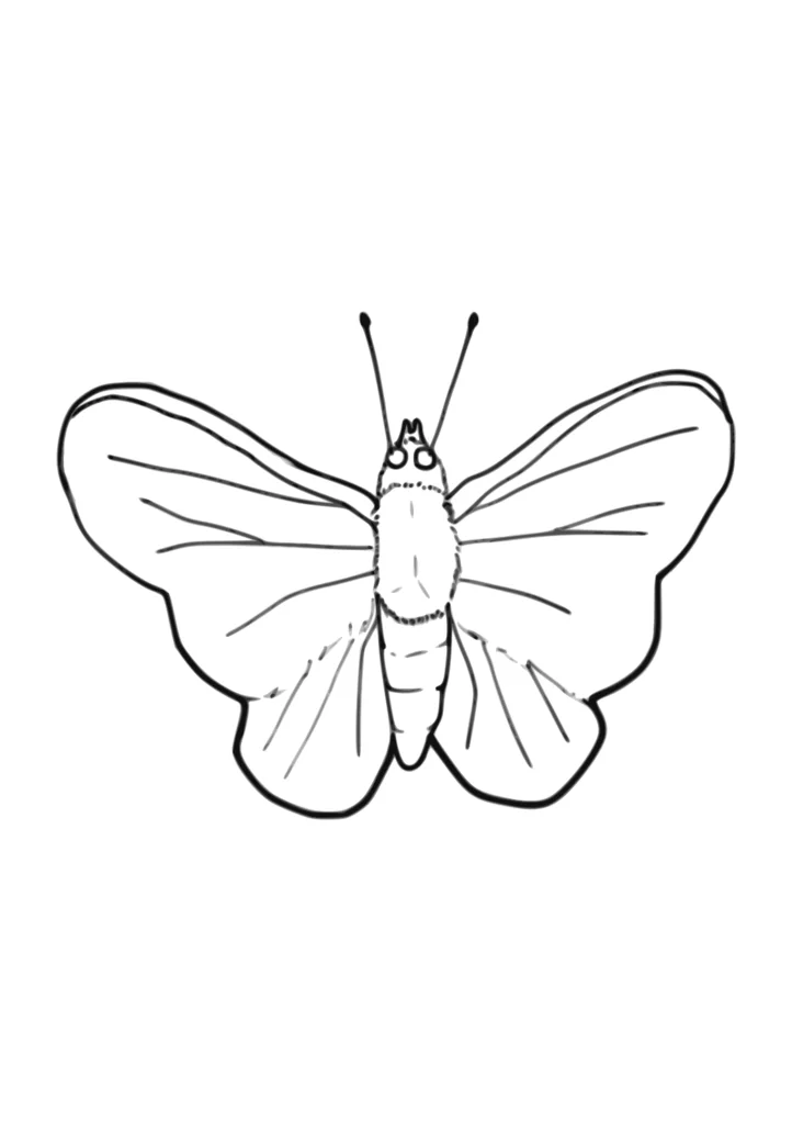 Cover of Joyful Butterfly Coloring Page